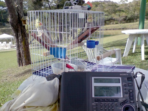 Ouvindo rádio na Serra da Mantiqueira em Barbacena