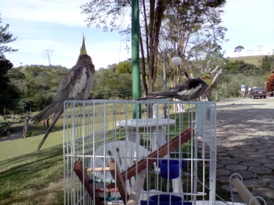 Vista parcial do local de escuta de rádio 