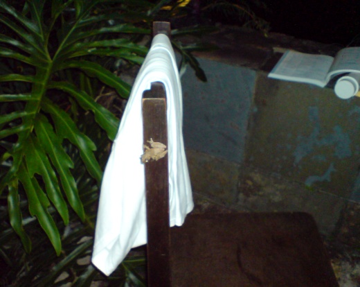 Perereca - Penedo, Itatiaia durante prática da radioescuta e DX